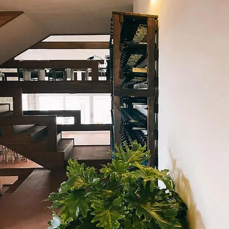 Casa Di Palaia Affittacamere *